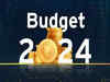 Budget 2024 Key Numbers: Sitharaman set to announce financial plan for FY25; key numbers to watch