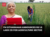 Budget 2024: FM Sitharaman announces Rs 1.5 lakh cr for agriculture and allied sector 1 80:Image