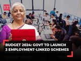 Budget 2024: Support for job creation, DBT for first time employees; to benefit 2.1 crore youths 1 80:Image