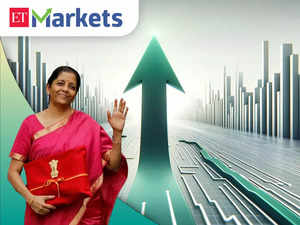 Budget 2024: Capital goods stocks tank up to 8% after Sitharaman makes no change in capex:Image