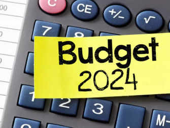 Budget: eCourts project gets Rs 1500 crore; digitisation records part of initiative:Image