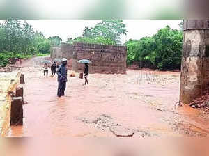 Heavy rains lash coastal Andhra Pradesh, wash away roads in two districts