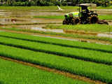 Budget's focus on agri-research may help reduce production shocks 1 80:Image
