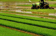 Budget's focus on agri-research may help reduce production shocks