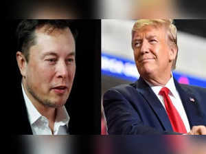 Is Elon Musk distancing himself from Donald Trump? This is what he has to say