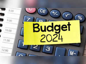 Budget projection of 10.5 pc nominal GDP reasonable: DEA secy