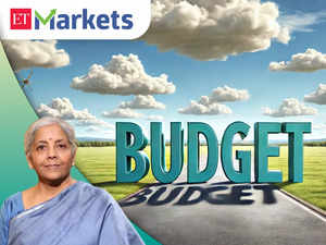 Union Budget 2024: How to rejig your MF portfolio after change in tax structure