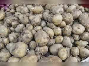 Govt to start talks with potato traders to end strike
