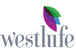 Westlife Foodworld Q1 Results: Net profit declines 88% to Rs 3.25 crore