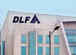 DLF Q1 Results: PAT at Rs 646 crore on strong sales booking