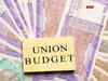FY25 Budget confirms new govt's commitment to reducing fiscal deficit: Fitch