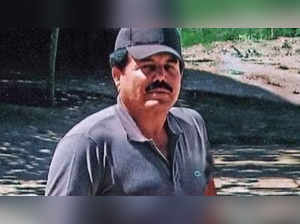 Sinaloa Cartel: Great betrayal! How did El Chapo's son Guzman Lopez lure Ismael 'El Mayo' Zambada? The Inside Story