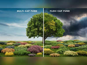 Explainer: What is the difference between a multi cap and flexi cap fund?