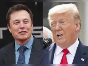 Will Donald Trump drop lawsuits against Elon Musk's companies if elected president? Know how Tesla CEO helps him