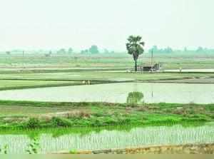 Excessive silt brings Palla floodplain project to halt