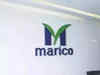 Foods and Premium Personal Care portfolios to contribute 25 pc revenue by FY27: Marico