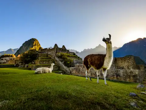 Machu Picchu, Peru