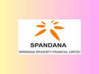 spandana-sphoorty-financial-stops-adding-new-to-credit-customers