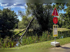 Historic UNESCO world heritage park in Germany grapples with dying trees as climate change kicks in