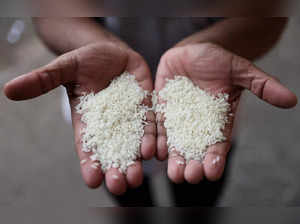 Govt allows 1,000 MT non-basmati white rice export to Namibia