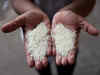 Govt allows 1,000 MT non-basmati white rice export to Namibia
