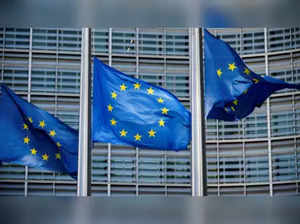 India sees EU carbon tax proposal as unfair and not acceptable, official says