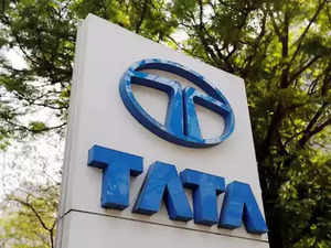 Tata International to nearly double production of sustainable leather in next four years