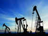 Private refiners RIL & Nayara Energy grow local market share as export margins dip