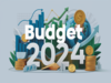 Budget 2024 tilts tax scale in favour of international mutual funds. Time to go global?