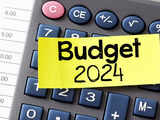 Budget 2024 misses mark on comprehensive custom duty rationalisation, say experts