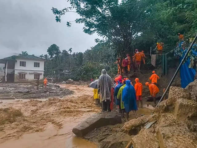 Wayanad Landslide: Deaths and injuries; Why do landslides occur? Why are  they rising in India? - Wayanad landslide tragedy | The Economic Times