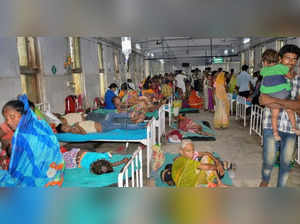 Health Ministry reviews Chandipura virus, Acute Encephalitis Syndrome cases in Gujarat, Raj and MP