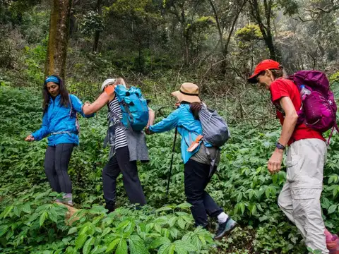 Challenging trek