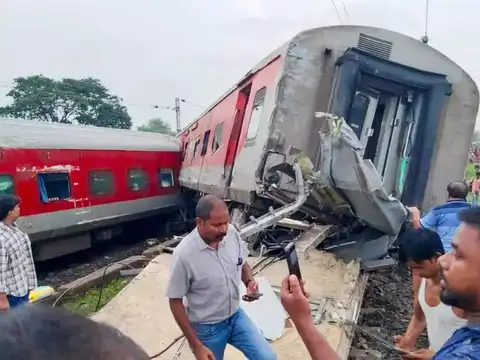 ​Public and government response​