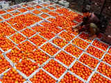 After Delhi NCR, tomatoes being sold at Rs 60/kg in select locations in Mumbai