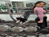 Manu Bhaker’s Gym Time. How Olympic Champions Work Out