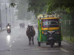 India Rains