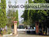 Enhanced production will bring revenues: Vinati Organics