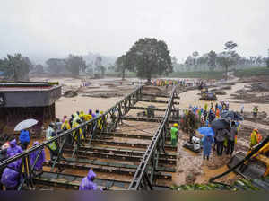 Wayanad bridge