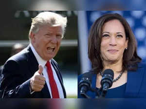 Nate Silver predicts Donald Trump should win US Presidential Election 2024, Kamala Harris may win popular vote. Details here