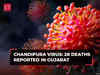Chandipura virus in Gujarat: 28 deaths reported due to Chandipura encephalitis