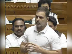 Alarming rise in landslides, urgent need for mapping prone areas: Rahul on Wayanad tragedy