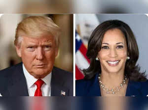 Massive fall: Donald Trump’s net worth plummets by $900m since Kamala Harris' entry:Image