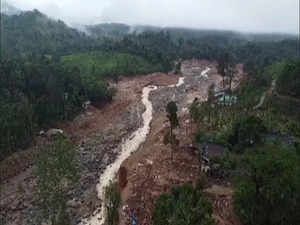 "There was an alert, govt should find out who was at fault": BJP's V Muraleedharan on Wayanad landslides