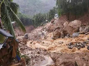 Wayanad landslide