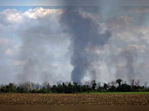 Pillars of smoke rise over a tree line in a field in the Kharkiv region, amid Russia's attack on Ukraine