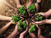 Agri-processing platform Agrizy raises Rs 82 crore in Series A funding