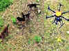 Drones airdrop biryani for dogs stranded in Tamil Nadu. Watch Video