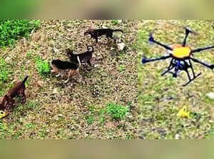 Drone drops biryani