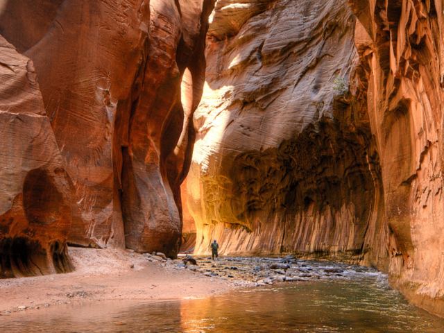 Zion Narrows, United States